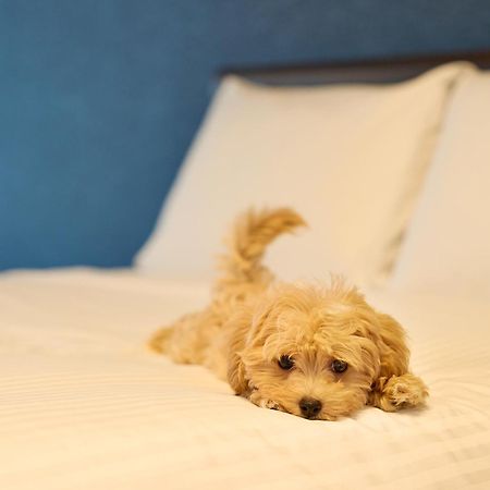 Alfacio Resort Stay Itoshima ภายนอก รูปภาพ